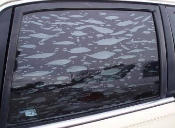 Window Tint Removal Service